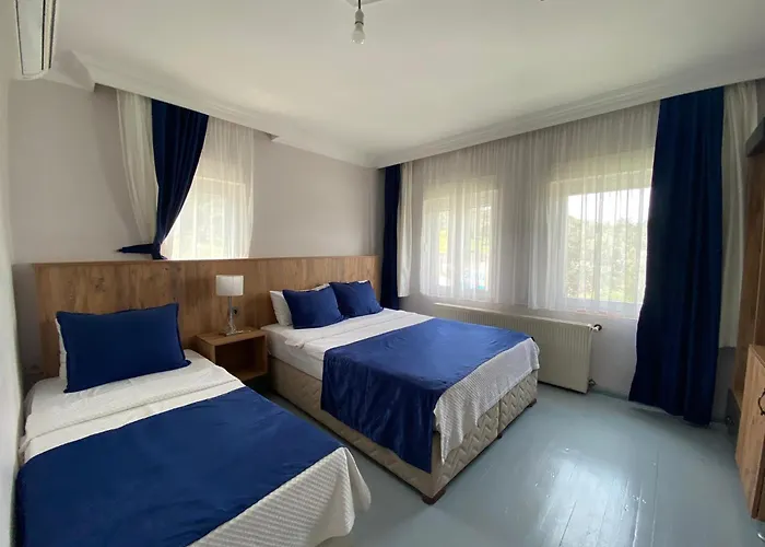 فندق Cunda Asiyan Ayvalı