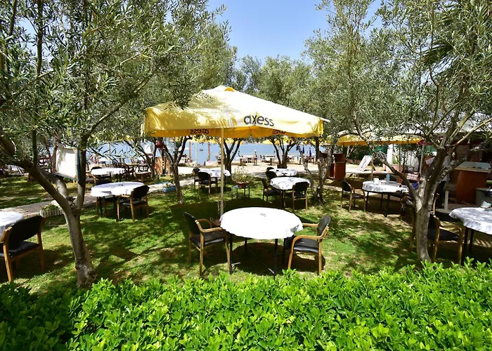 Cunda Asiyan Ayvalı