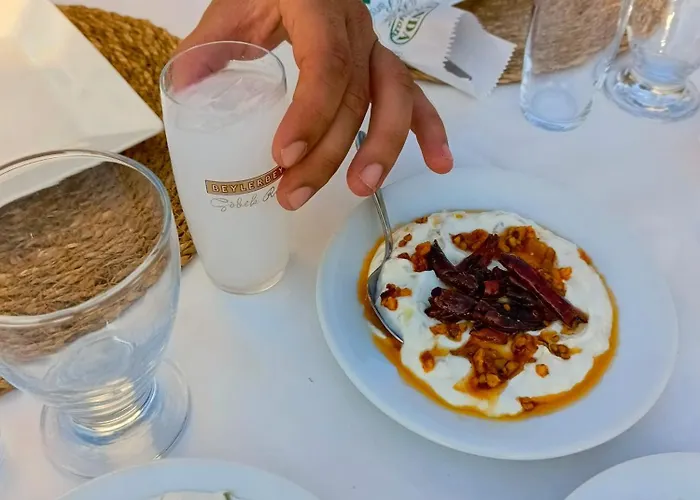 Cunda Asiyan فندق