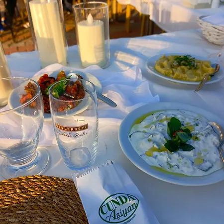 Ξενοδοχείο Cunda Asiyan Ayvalı