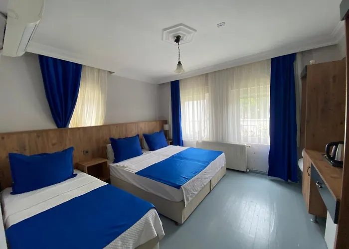 Cunda Asiyan Hotel *