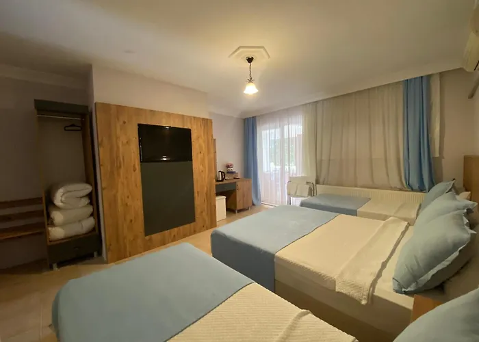 Cunda Asiyan Hotel *